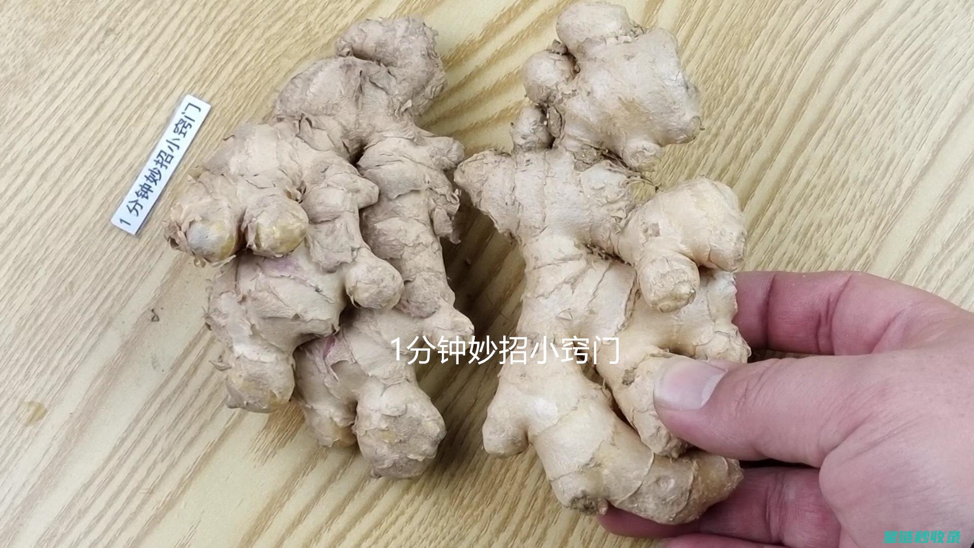 生姜保鲜术：轻松保存生姜，延长其使用寿命 (生姜保鲜技术)